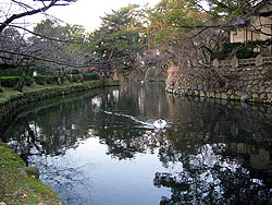 岡崎城の南から東にかけて水堀が残っています。