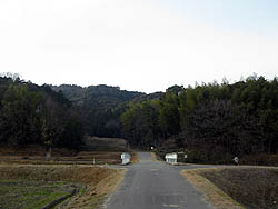 山中城の遠景