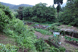 �n�`���悭�c��D�d��