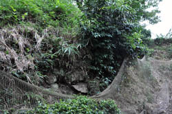 �Ί_���c���Ă��܂�