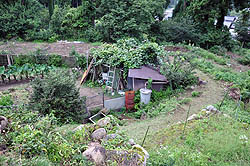 ���n�ƂȂ��Ă���D�d��