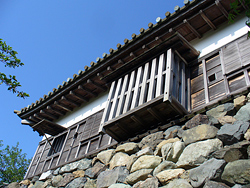 丸岡城西面より