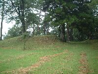 ���͏�{�ې�