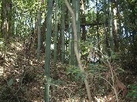 二の郭との間にある堀切