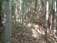 三の郭へ