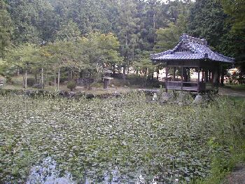 陣屋内の庭園だったのでしょうか