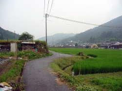 北側からみた南石塁と食い違い門