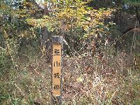 多少まだ薮が残りますが削平地は確認できます。