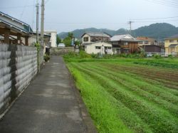 ���̂����肪�w���ՂȂ̂��E�E