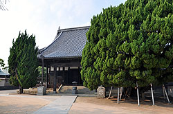 �_�g��Ղł����y��