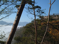竹田城と雲海が見えます。