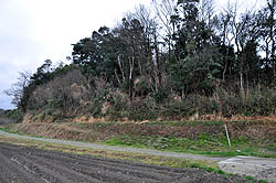 勝間城全景