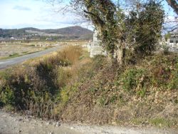 ����\���Ղł����Ăق����x��