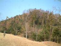 南側からの城山、城跡は目の前です・・
