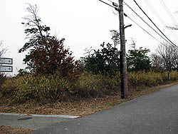 土取りされてわからないのですが高木大山付城跡付近(汗)