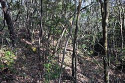 立石城の主郭の土塁と堀切