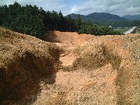 なんの穴でしょうか、主郭跡