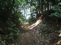 ��x�Ղ���Ԃ̌����i^^;