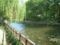 ���������x