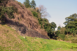 三の丸南斜面の石垣