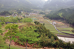 �������I�c�̒��]