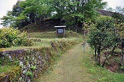 �i�`�j�b�艮�~��