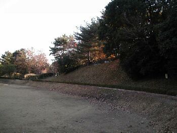 本城山青少年公園です。右手にある台状地が城跡です。