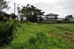 一夜の城、土塁