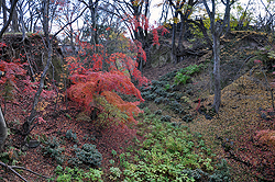秋色の紅葉谷