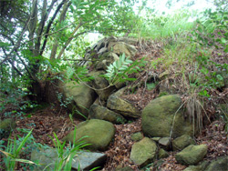 ���Ȃ����Ă��܂��Ă���Ί_