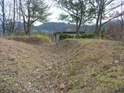 �~���𗘗p������\�͂��̂܂܎c����Ă���B