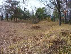 �y�ۂ̓����ɂ͖C��������ł��܂��B