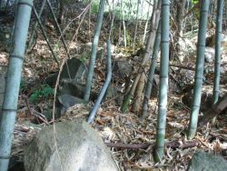 �֌W�Ȃ���������܂��񂪁A������ꐼ�Ζʂɂ͋��΂�