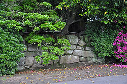時枝陣屋の石垣