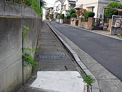 ��������p��ς��Ă���F�c�Ɖ��~