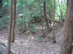 �s�̓쑤�̏��Ղł��B