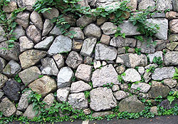 大津城の石垣が残っていました。