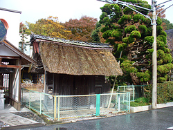 ���⎁�ي֘A�̖�ł��傤���H