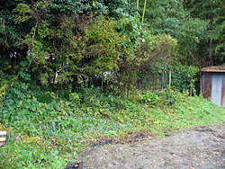 ���⎁�ق̓y�ې�