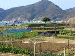 台場越しに工事されているのがわかります。
