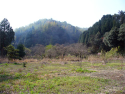 �x�c��ւ̓o�郋�[�g�̂P�̂悤�ł��B