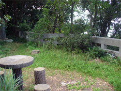 �ٓV�R���̖C�����������ӂ�͌���������Ă��܂��B