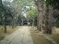 今井城跡らしい氷川神社