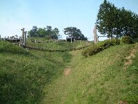 ��\�����܂��V�яꏊ�ɂƂ肱�񂾊F���