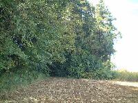 �ꌩ�A���̂Ȃ����M�Ƃ��đ��݂��Ă���