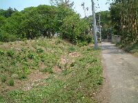 �������x��