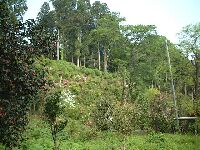 �����͋}�Ȓf�R�ɂȂ��Ă��܂�