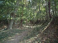 ��@�ꂩ��y�ۂ����グ��