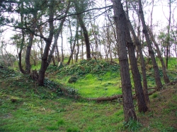 ���Ñ��̖ډB���y�ۂ�