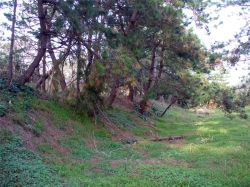 ���Ñ��̓y�ۏ󋵂͂����ł��ˁB